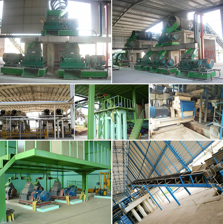 成套鮮木薯粉碎-