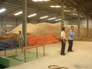 越南日产20万升燃料乙醇木薯成套设备 (1)